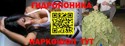 2c-b Обнинск
