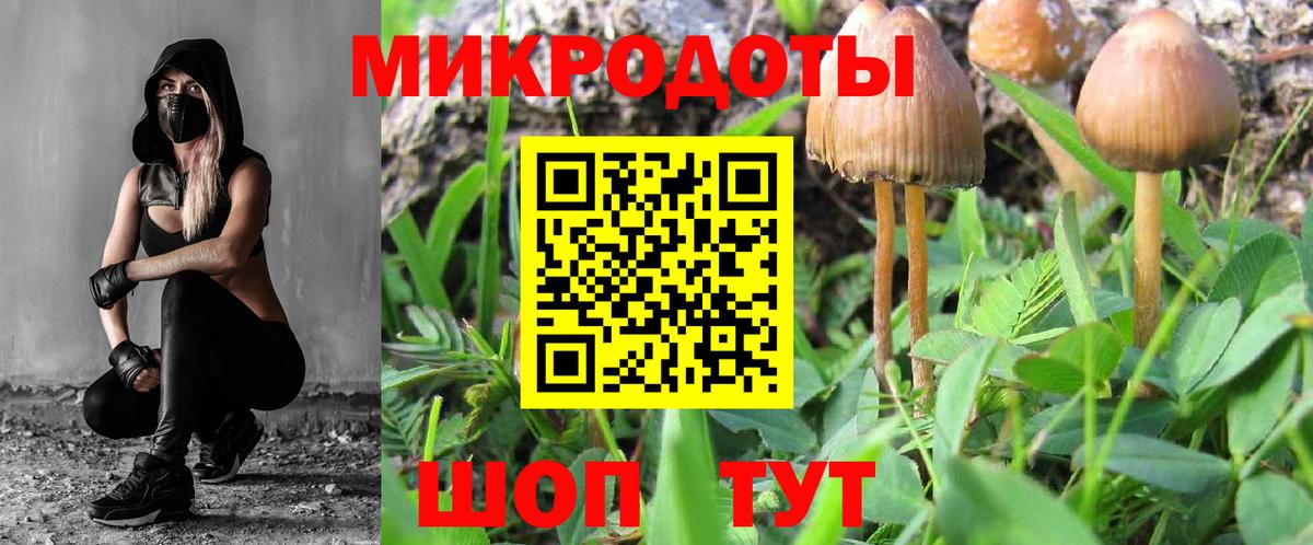 Псилоцибиновые грибы Psilocybe  где продают   Псилоцибиновые грибы MAGIC MUSHROOMS  Протвино  Вход с VPN 