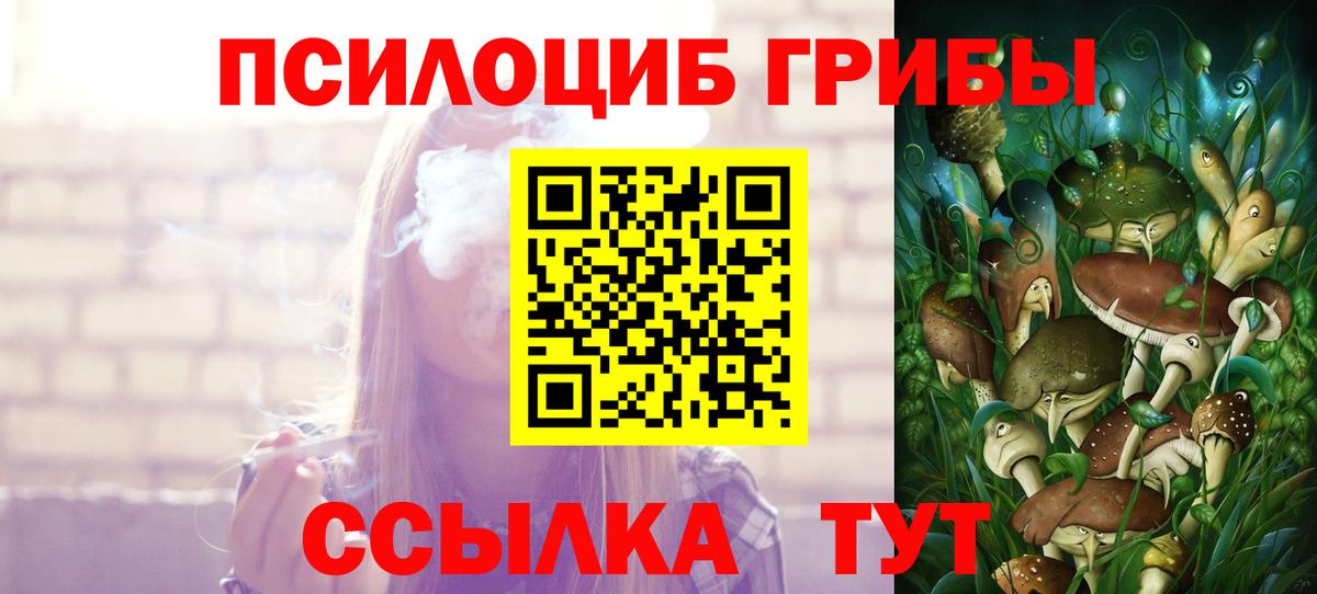 Галлюциногенные грибы мицелий Протвино
